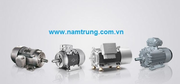 dong-co-dien-siemens