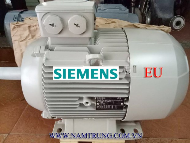 MOTOR-SIEMENS-CHAU-AU.jpg